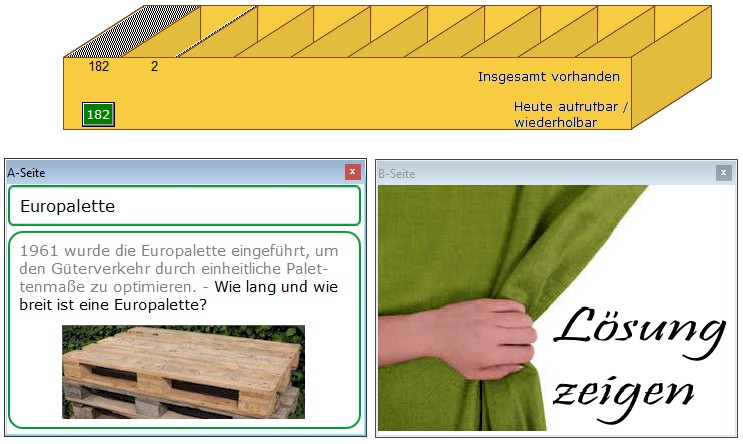 Screenshot der Lernkarten-Software memoCARD:  Lernbox mit Frageseite einer Lernkarte